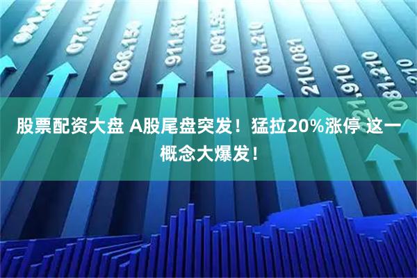 股票配资大盘 A股尾盘突发！猛拉20%涨停 这一概念大爆发！